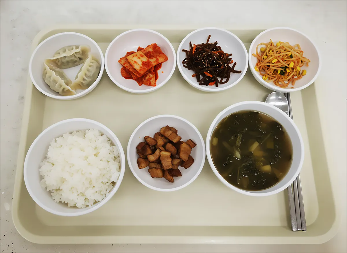 입원병동 영양식단 - 흰쌀밥, 만두국, 돼지고기 조림, 들깨미역국